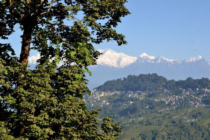 Darjeeling Bnb Exteriör bild