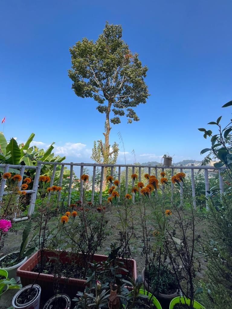 Darjeeling Bnb Exteriör bild